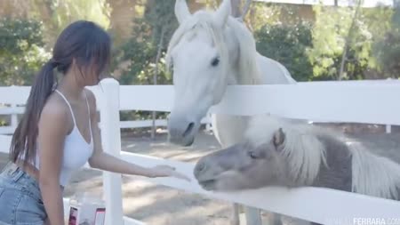 Латинка с волосатой киской в экстазе от большого ствола 1